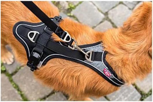 Image du produit Curli Harnais magnétique Belka Comfort (XL, Chien, Général, Promenade)
