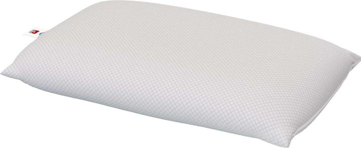Image du produit Velfont Outlast-Viscofresh (50 x 70 cm)