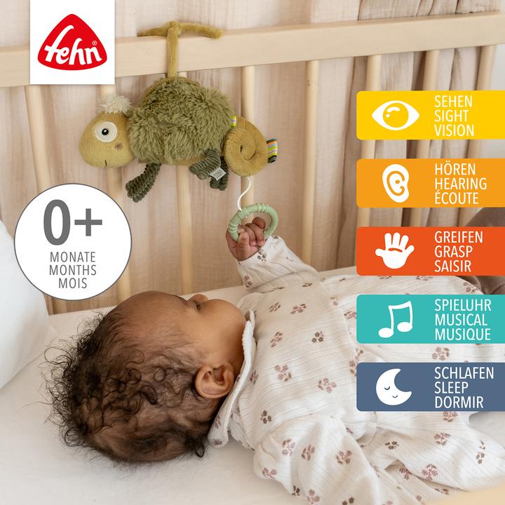 Produktbild Fehn Mini-Spieluhr Chamäleon