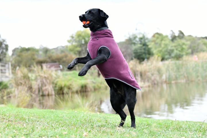 Produktbild Weatherbeeta Comfitec (65, Hundemantel)