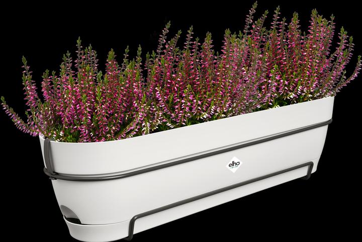 Immagine prodotto Elho Vibia Campana Allin1 (26 cm)