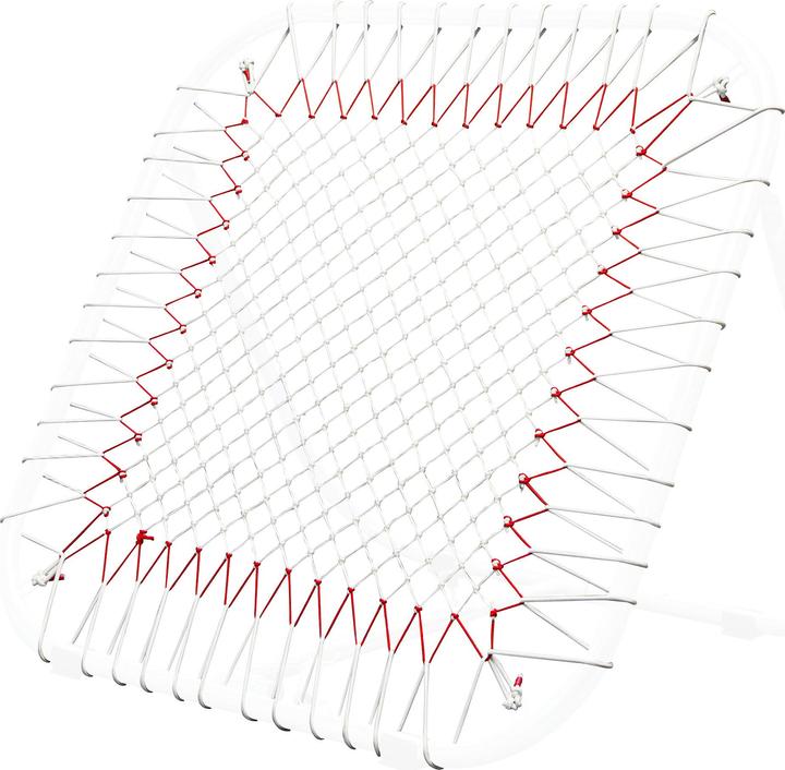 Actual product image Sport-Thieme Replacement net for tchoukball frame