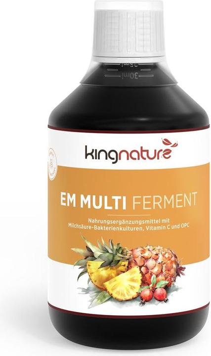 Kingnature EM Multi Ferment (1 Stück, Flüssigkeit, 551 g)