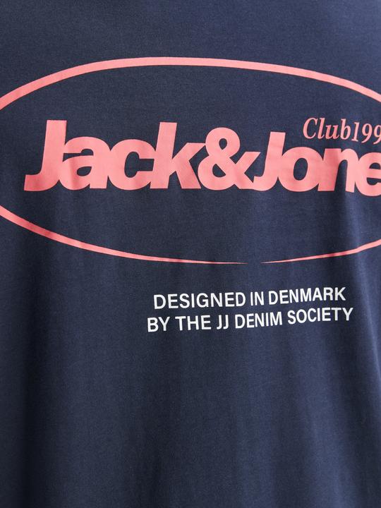 Image du produit Jack & Jones Jjebradley Graphic Tee Ss O-Neck Sn Pls (XXL)