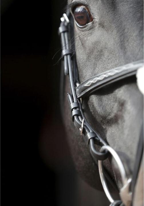 Actual product image Kerbl Snaffle bridle Cancun black, Cob
