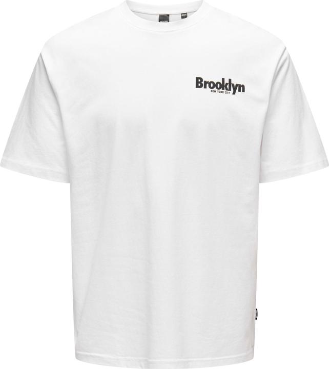 Produktbild Only & Sons Onskeane Rlx Ss Print Tee Noos (M)