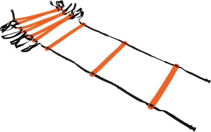 Precision Agility Leiter Neo