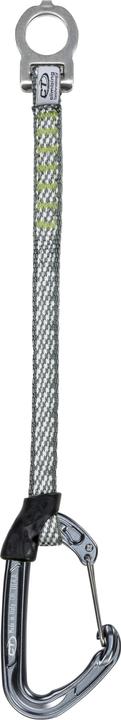 Climbing Technology Ice Hook
