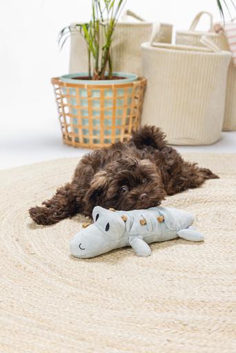 Actual product image Beeztees Puppy Crocodile Jake Dog Toy (Plush toy dog)