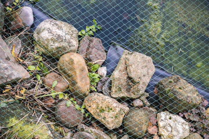 Immagine prodotto Aquagart Teichnetz 3m x 12m Laubnetz Netz Laubschutznetz robust