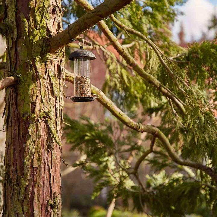Actual product image Siena Garden Feeder Steel Line Ø 10 x 20 cm green