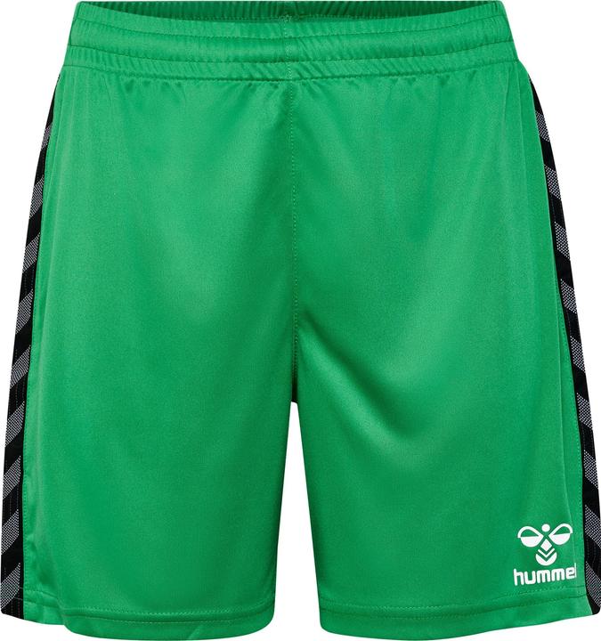 Image du produit hummel Hmlauthentic Pl Shorts Kids (140)