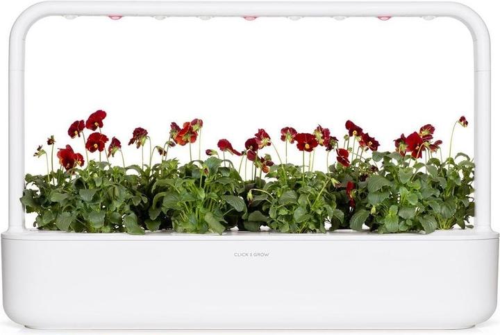 Image du produit Click and Grow Semences de pensées rouges pack de 3