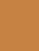 Image du produit Erborian Super BB Crème de soin couvrante (Caramel)