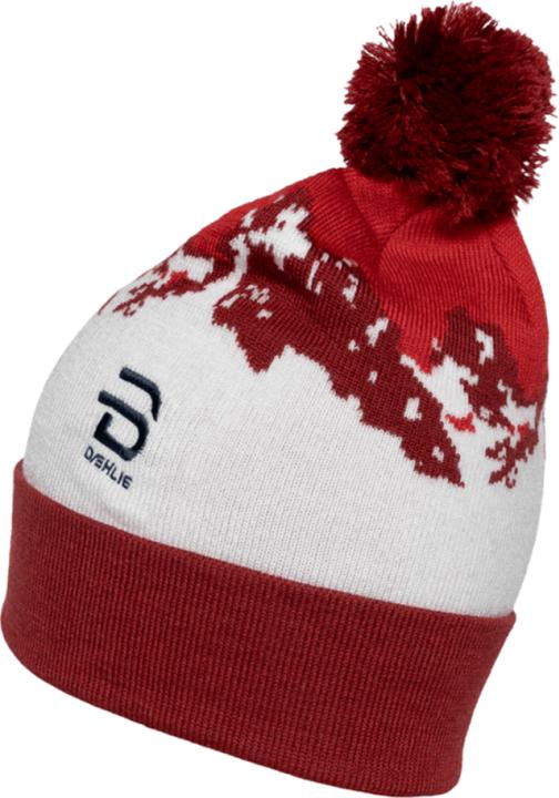Actual product image Daehlie Hat Champion