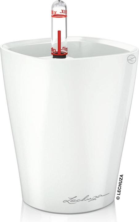 Actual product image Lechuza Mini Deltini (10 cm)