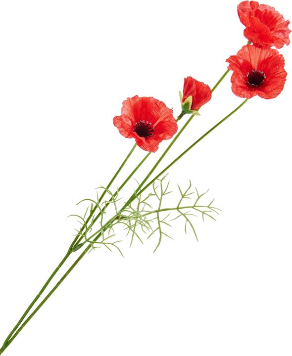 DPI Mohn-Pick mit 4 Blüten