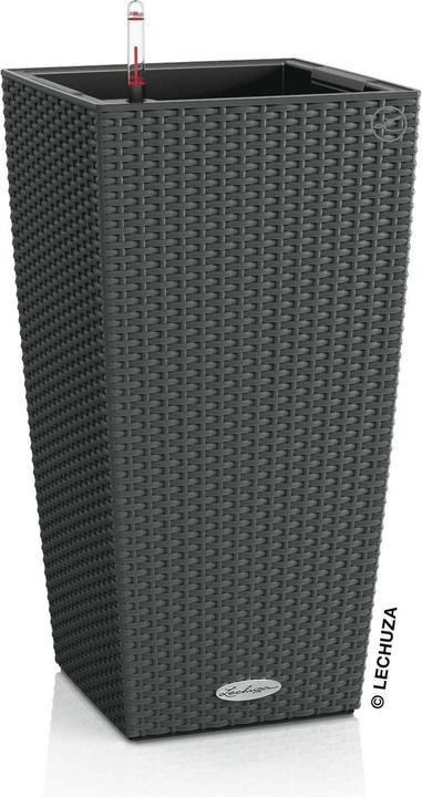 Actual product image Lechuza Cubico Cottage (29.50 cm)
