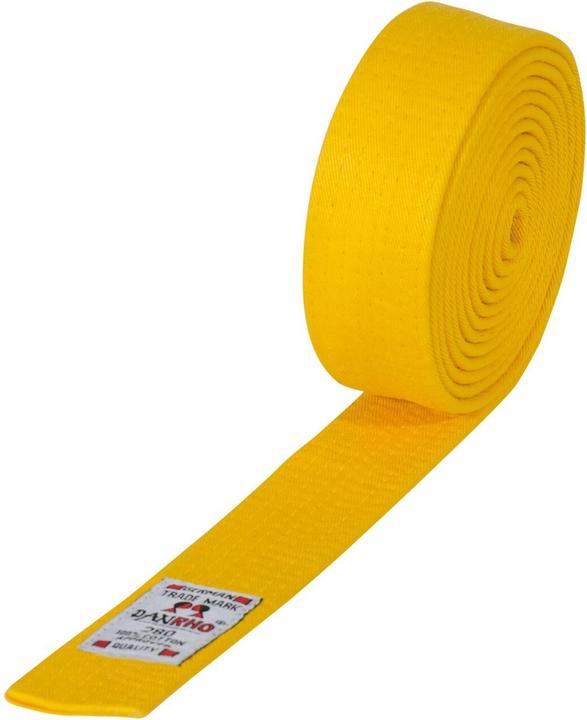 Actual product image Danrho Judo/ju-jutsu belt