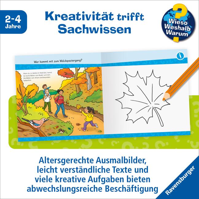 Image du produit Ravensburger Wieso? Weshalb? Warum? junior AKTIV: Im Wald (Allemand, Elke Broska, 2024)