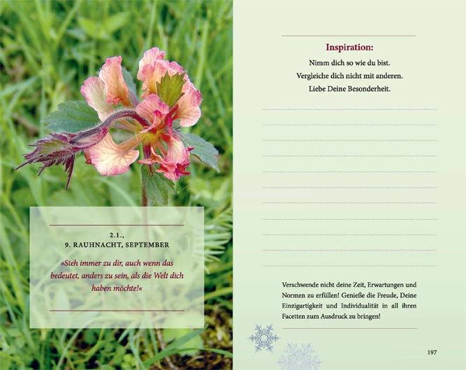 Produktbild Rauhnächte: Die geheimnisvolle Zeit zwischen den Jahren (erweiterte Neuausgabe) (Deutsch, Elfie Courtenay, 2020)