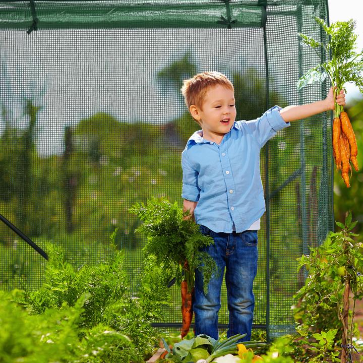 Produktbild Relaxdays Tomatengewächshaus
