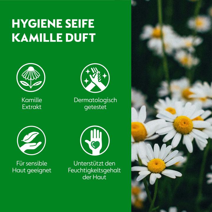 Actual product image Dettol No-Touch (Liquid soap, 250 ml)