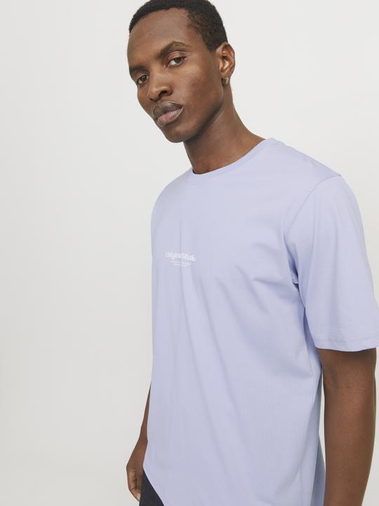 Produktbild Jack & Jones Jorvesterbro Tee Ss Crew Neck Noos (XXL)
