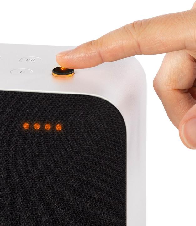 Actual product image Braun LE01 (Airplay 2, Bluetooth)
