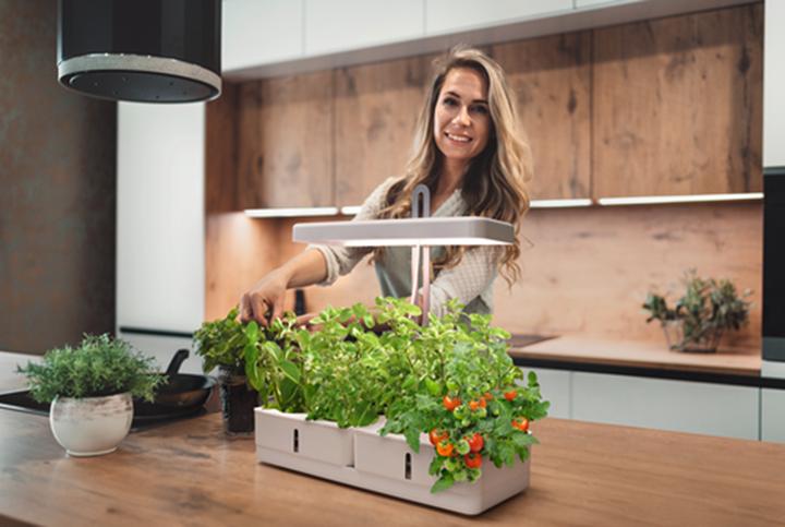 Image du produit Ledvance Indoor Garden Kit (LED, 230 V)