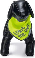 Actual product image Beeztees Safety Gear Bandana Chiny (L, Dog, Dog sport)