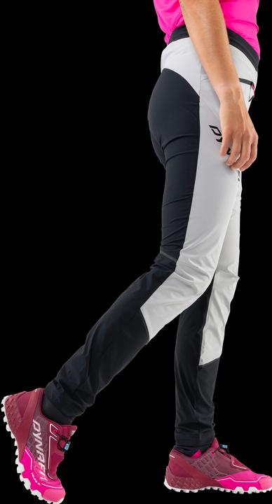 Produktbild Dynafit Traverse Dynastretch Hose (L)