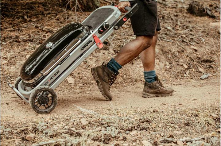 Produktbild Weber Traveler (3.80 kW)