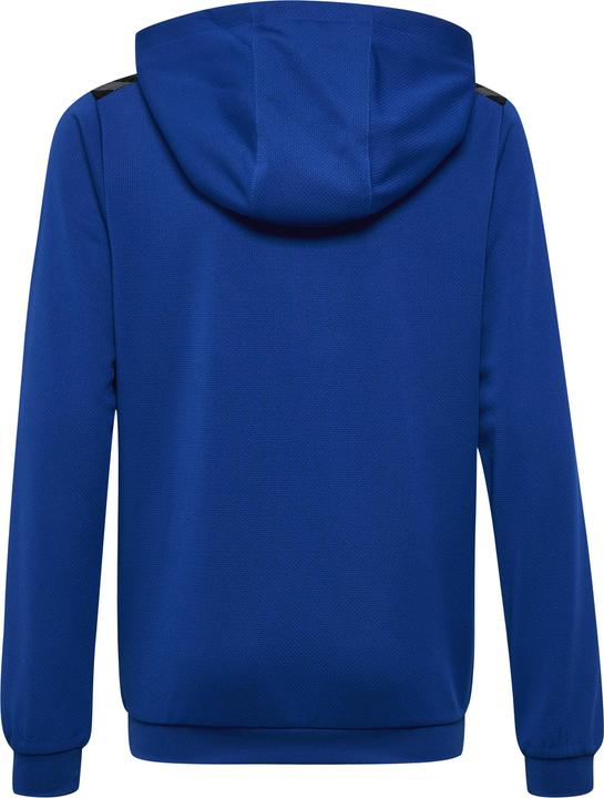 Produktbild hummel Hmlauthentic Pl Hoodie Kids (164)