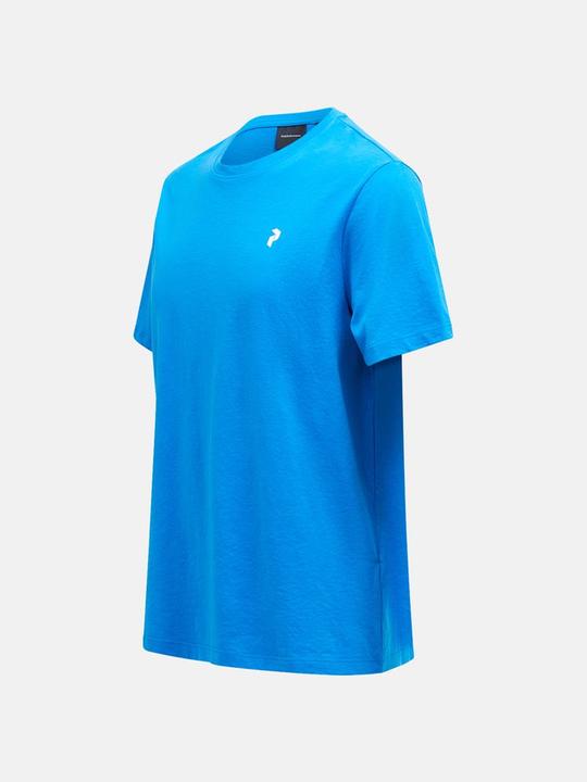 Actual product image Peak Performance Explore Graphic Tee (S)