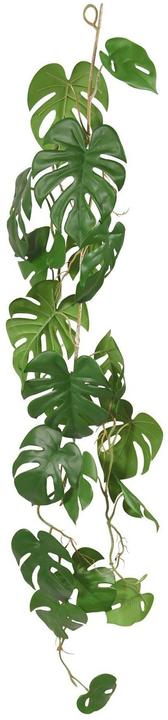 Produktbild Botanic-Haus Kunstpflanze Monstera 110 cm, Produkttyp: Schnittblumen (110 cm)
