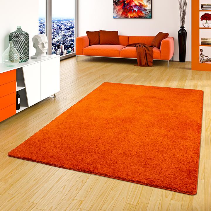 Actual product image Snapstyle Shaggy Carpet Palace (140 x 200 cm)