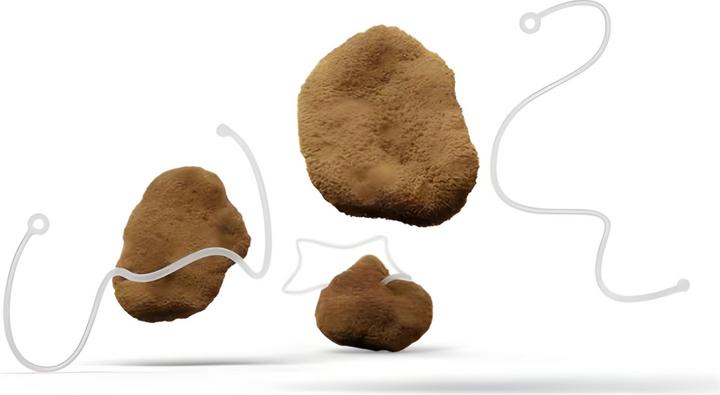 Actual product image Hera Organics Starterkit S (3 x, L)