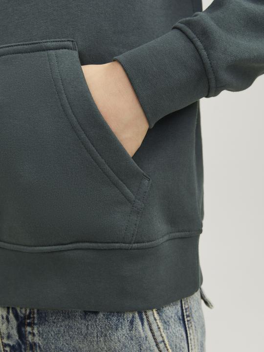 Actual product image Jack & Jones Jorvesterbro Sweat Hood Noos Mni (116)