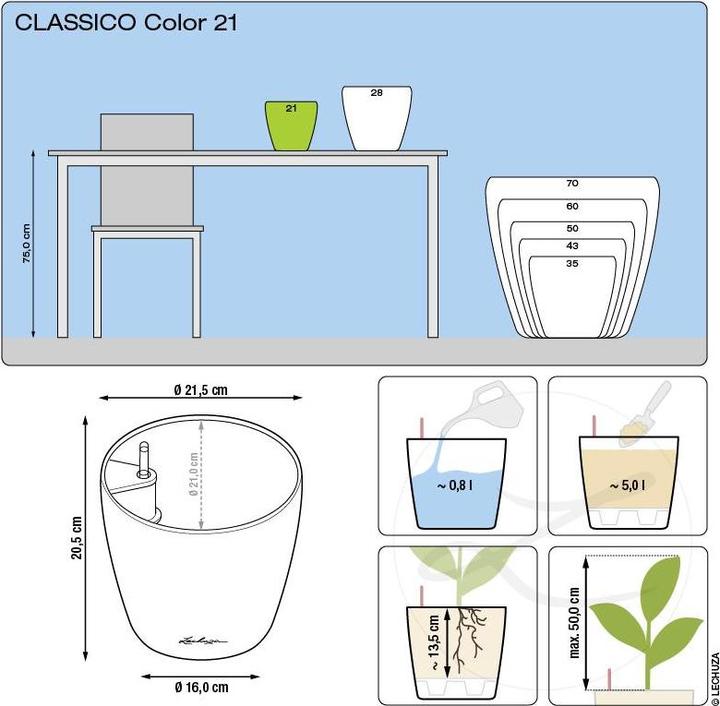 Actual product image Lechuza Classico Color (21.50 cm)