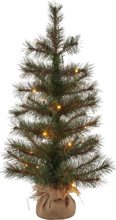 Immagine prodotto Sirius Alvin (60 cm)