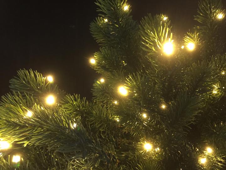 Immagine prodotto Botanic-Haus Abete artistico, altezza 195cm, con 432 luci LED (195 cm)