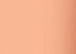 Actual product image Caran d'Ache Acrylic (Flesh-coloured, 250 ml)