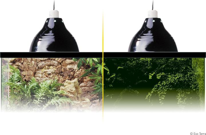 Image du produit Exo Terra Lumière vive (Résistant aux éclaboussures, UVA)