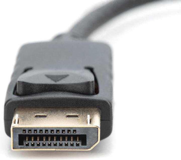 Image du produit Digitus DisplayPort — HDMI (Typ A) (0.15 m, HDMI, DisplayPort)