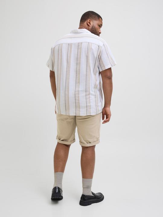 Actual product image Jack & Jones Jpstdave Jjchino Shorts Sn Akm Pls (W44)