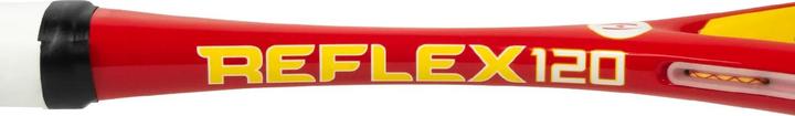 Actual product image Harrow Sports Reflex 120