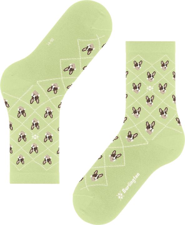 Actual product image Burlington Corgi (Single pack, 36 - 41)