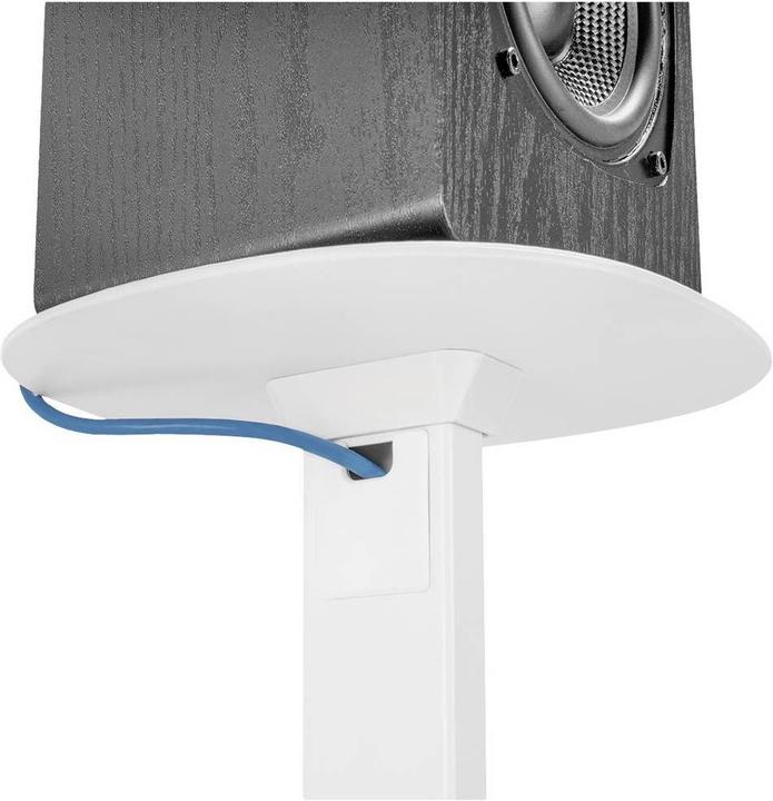 Actual product image myWall HS 23 WL (1 pair, Stand, Height-adjustable)