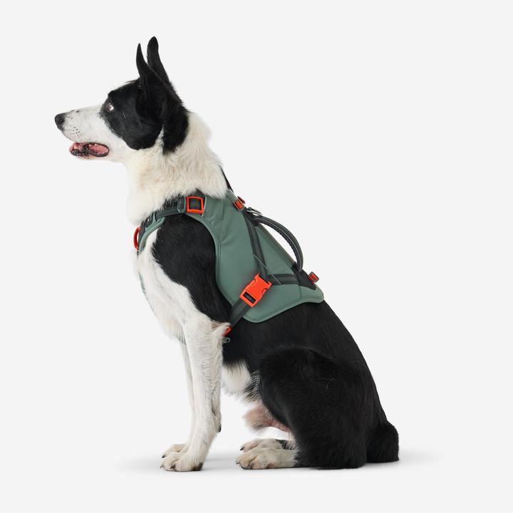 Actual product image Caperlan Hundegeschirr Wandern (S, Dog, Dog sport)